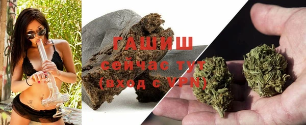 прущие грибы Балабаново