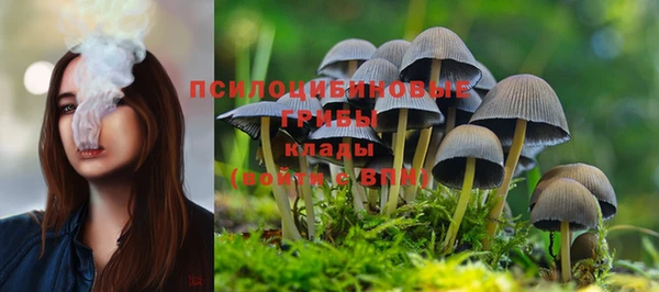 гидропоника Аркадак