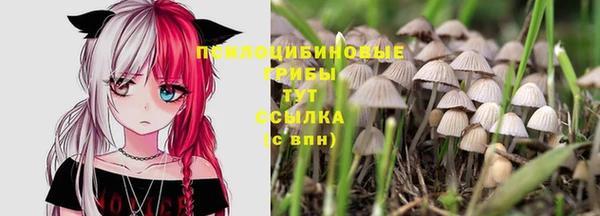 соль курить ск Новозыбков